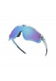 Oakley Jawbreaker OO9290-40 Prizm Güneş Gözlüğü